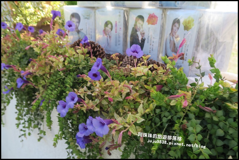 雅聞香草植物園45.JPG 雅聞香草植物園45.JPG