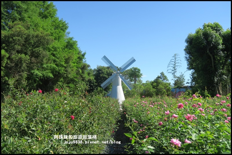 雅聞香草植物園44.JPG