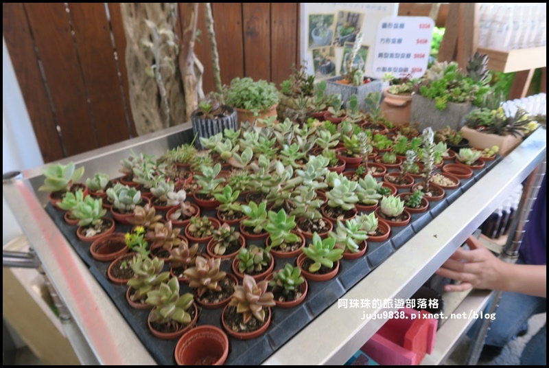 雅聞香草植物園42.JPG 雅聞香草植物園42.JPG