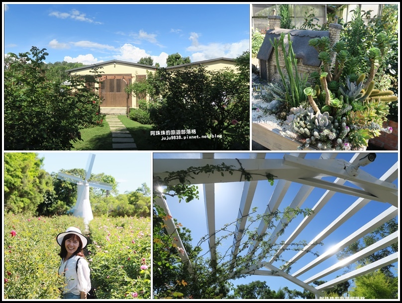 浪漫香草玫瑰園 多肉森林好療癒 健行筆記 浪漫香草玫瑰園 多肉森林好療癒 健行筆記