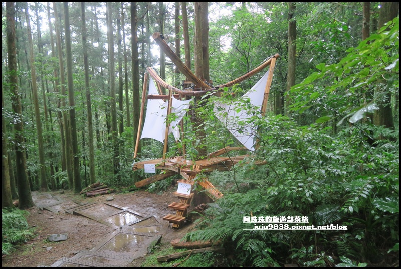 東眼山48.JPG 東眼山48.JPG