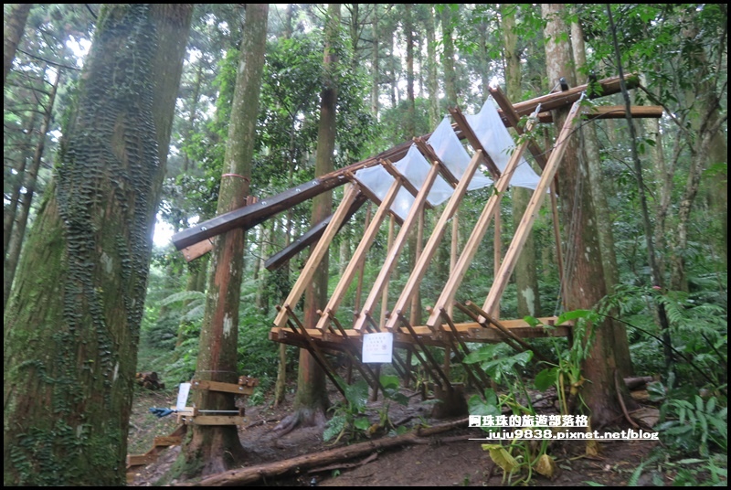 東眼山46.JPG 東眼山46.JPG