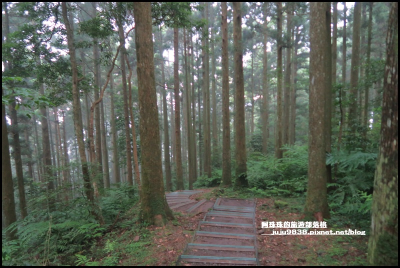 東眼山43.JPG 東眼山43.JPG