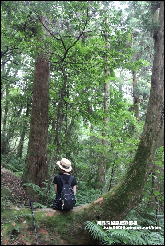 東眼山87.JPG 東眼山87.JPG