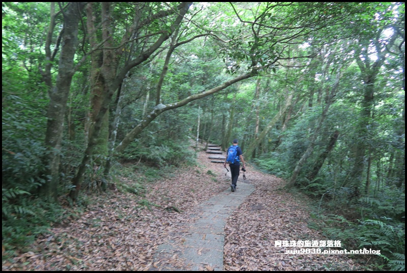 東眼山35.JPG 東眼山35.JPG