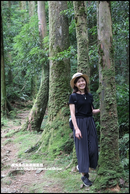 東眼山76.JPG 東眼山76.JPG