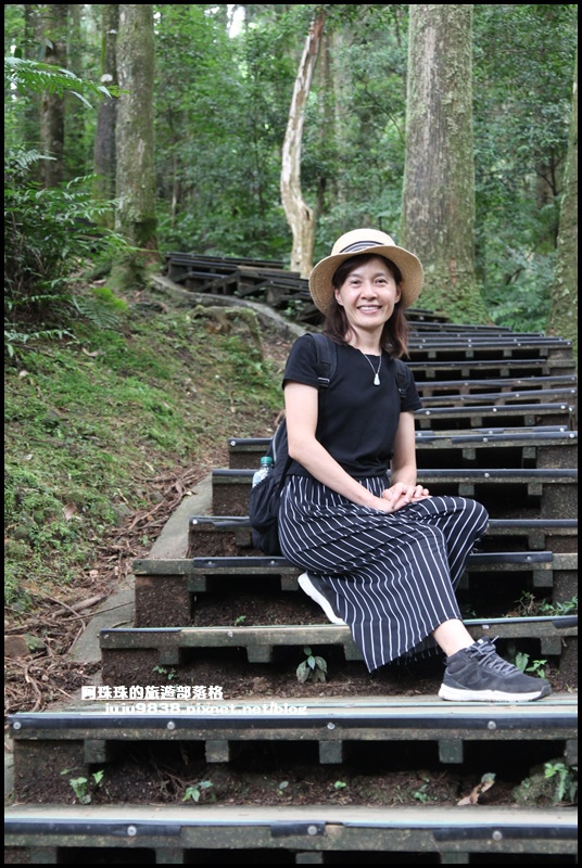 東眼山68.JPG 東眼山68.JPG