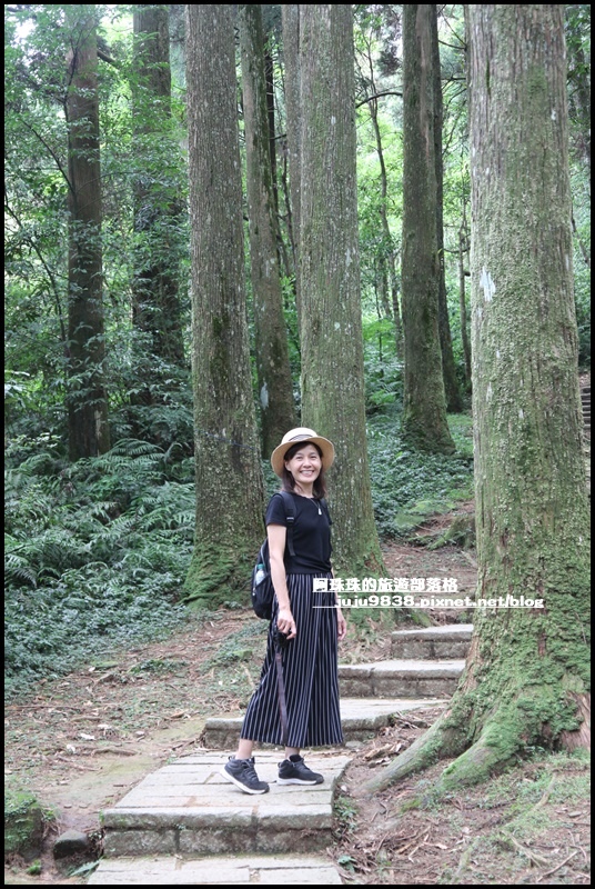 東眼山59.JPG 東眼山59.JPG