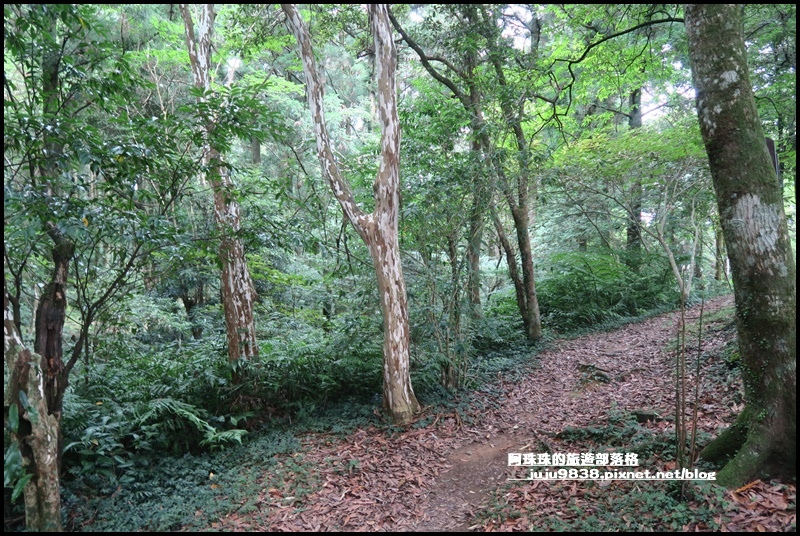 東眼山28.JPG 東眼山28.JPG