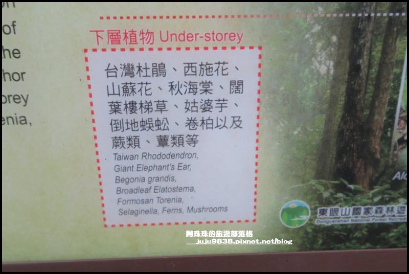 東眼山25.JPG 東眼山25.JPG