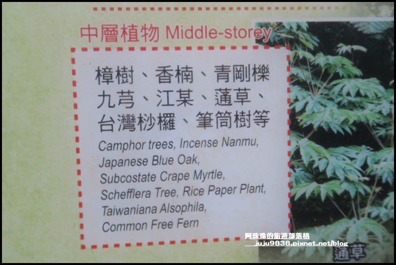 東眼山24.JPG 東眼山24.JPG