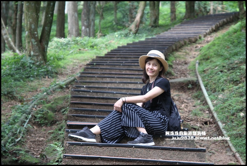 東眼山63.JPG 東眼山63.JPG