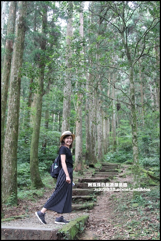 東眼山58.JPG 東眼山58.JPG