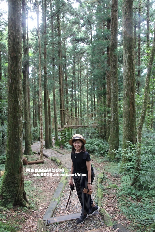 東眼山57.JPG 東眼山57.JPG