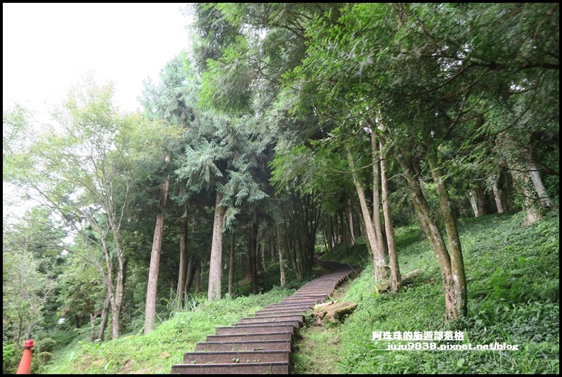 東眼山15.JPG 東眼山15.JPG