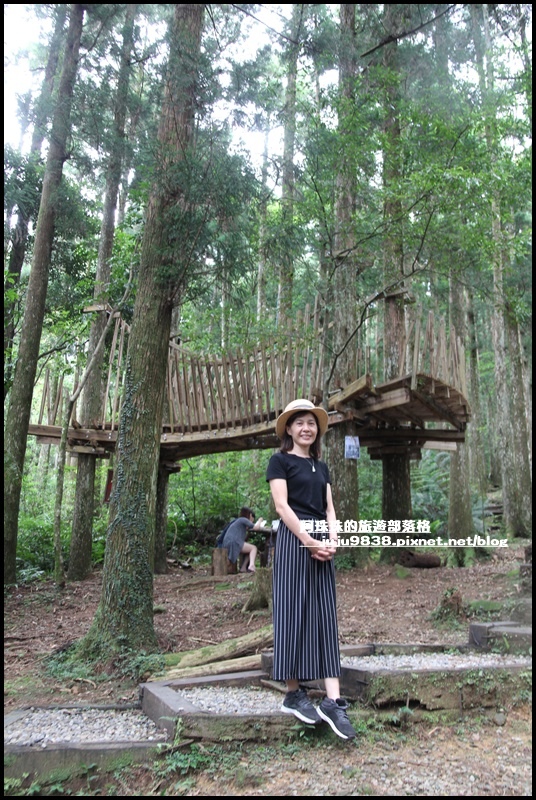 東眼山56.JPG 東眼山56.JPG