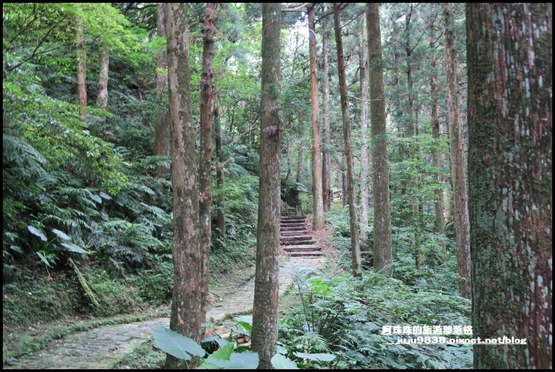 東眼山14.JPG 東眼山14.JPG