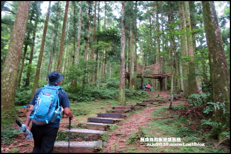 東眼山12.JPG 東眼山12.JPG