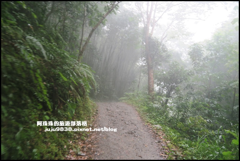 老鷹溪60.JPG 老鷹溪60.JPG