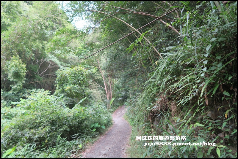 老鷹溪43.JPG 老鷹溪43.JPG