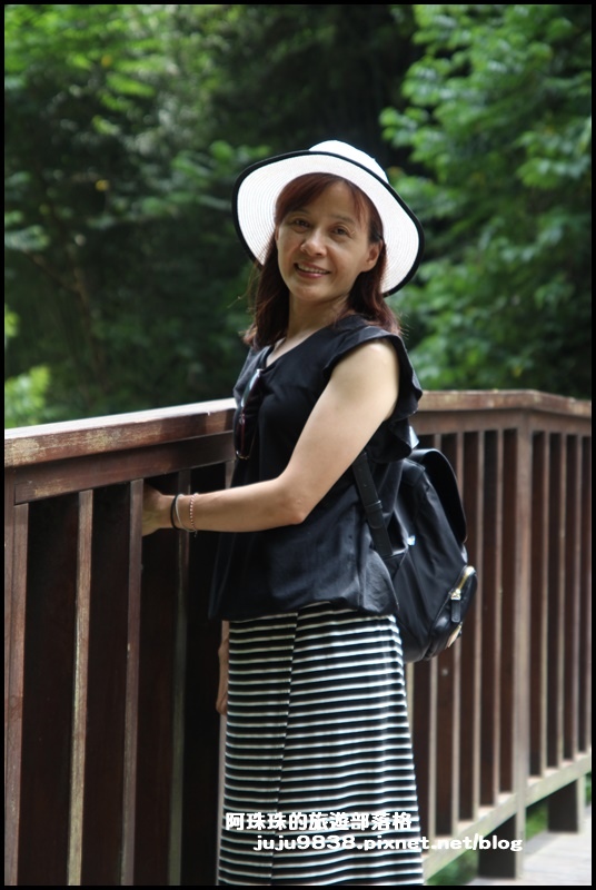 老鷹溪8.JPG 老鷹溪8.JPG