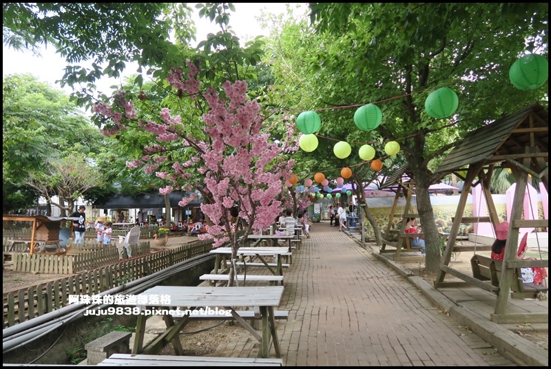 觀音蓮花季61.JPG 觀音蓮花季61.JPG