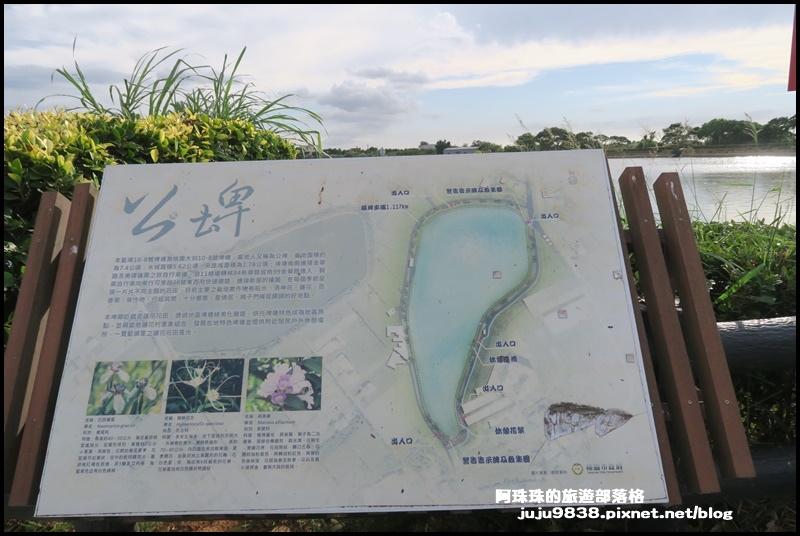 觀音蓮花季59.JPG 觀音蓮花季59.JPG