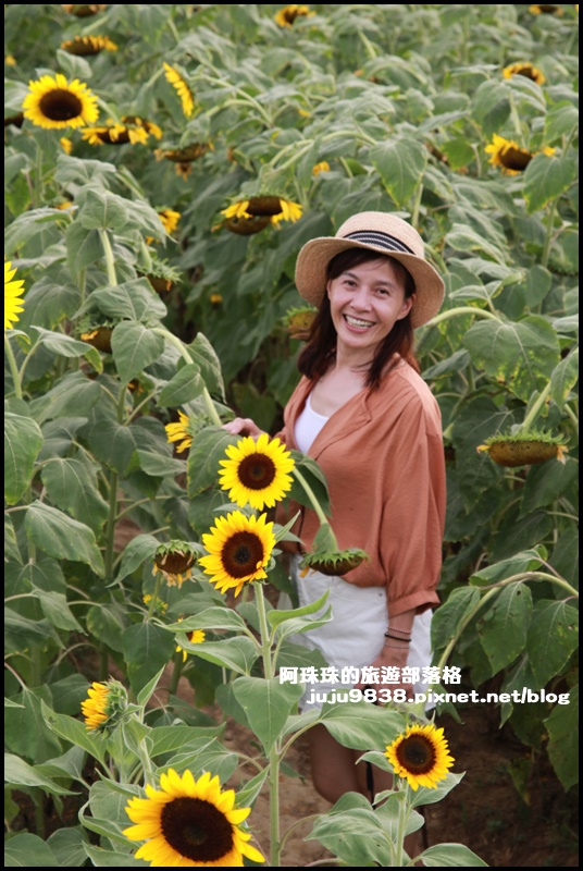 觀音蓮花季43.JPG 觀音蓮花季43.JPG