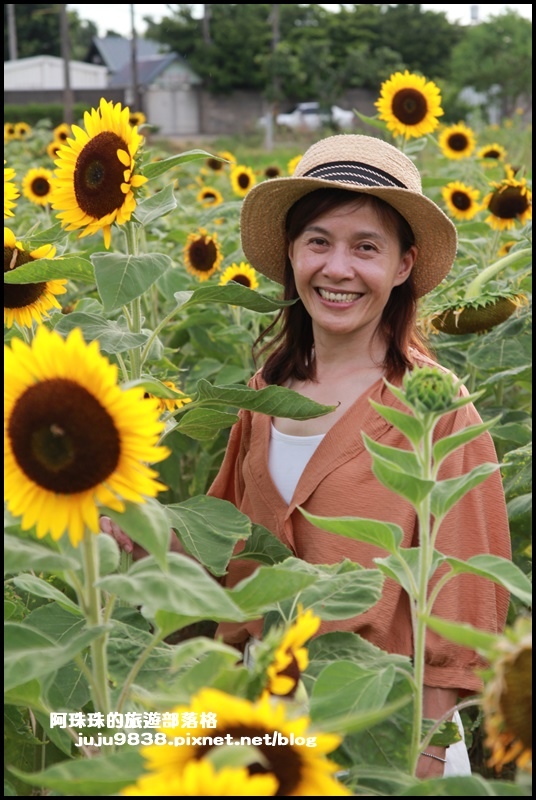 觀音蓮花季42.JPG 觀音蓮花季42.JPG