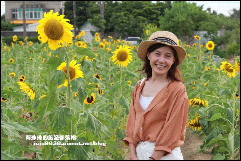 觀音蓮花季36.JPG 觀音蓮花季36.JPG