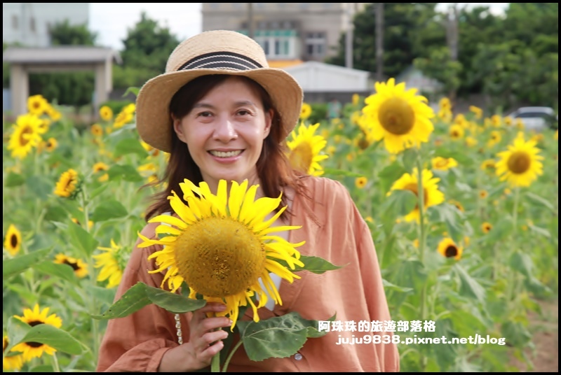 觀音蓮花季29.JPG 觀音蓮花季29.JPG