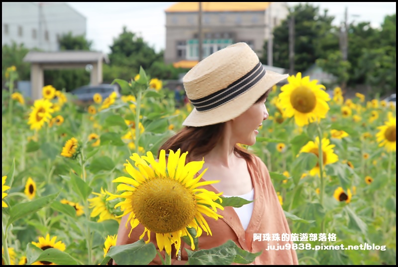 觀音蓮花季30.JPG 觀音蓮花季30.JPG