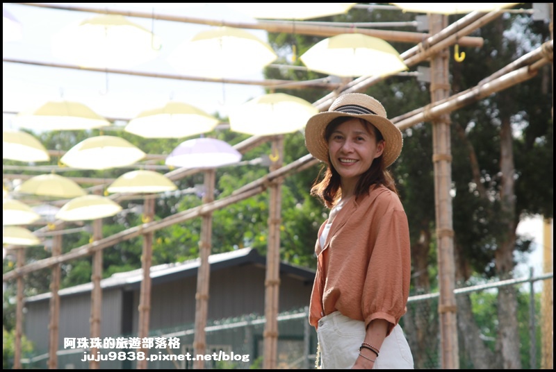 觀音蓮花季27.JPG 觀音蓮花季27.JPG