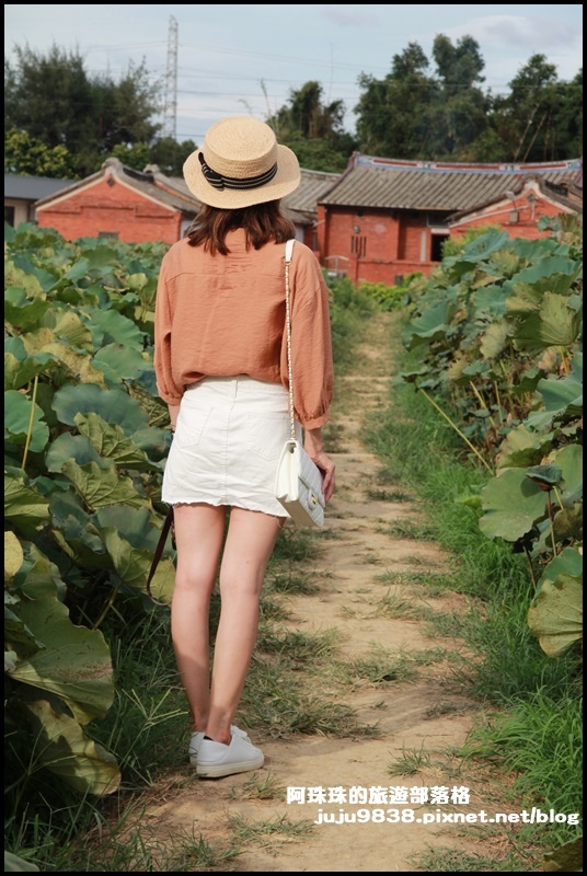 觀音蓮花季15.JPG 觀音蓮花季15.JPG