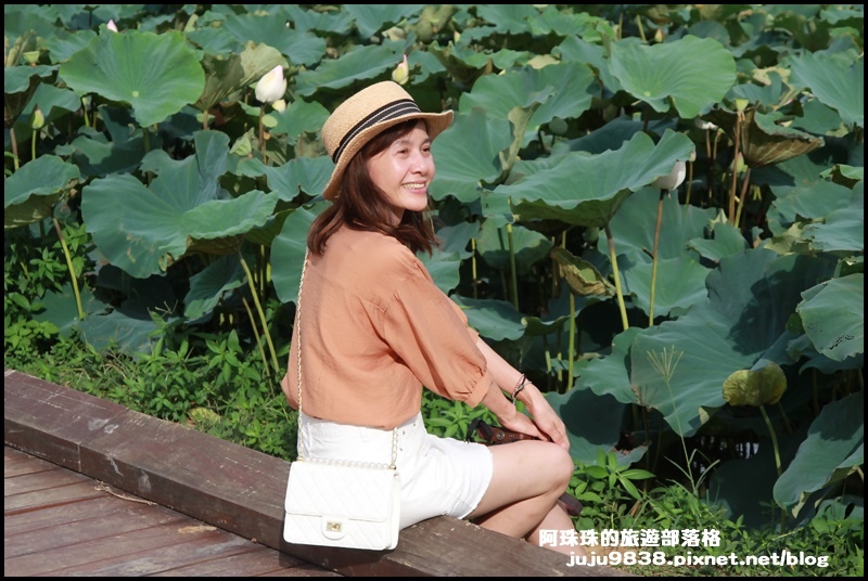 觀音蓮花季11.JPG 觀音蓮花季11.JPG