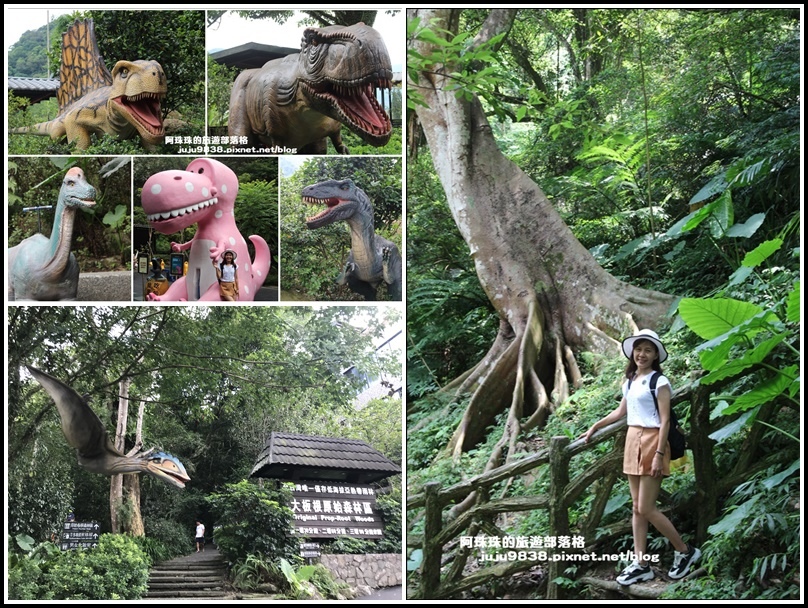 三峽大板根溫泉森林度假村 三環原始森林步道 恐龍探索森林 健行筆記