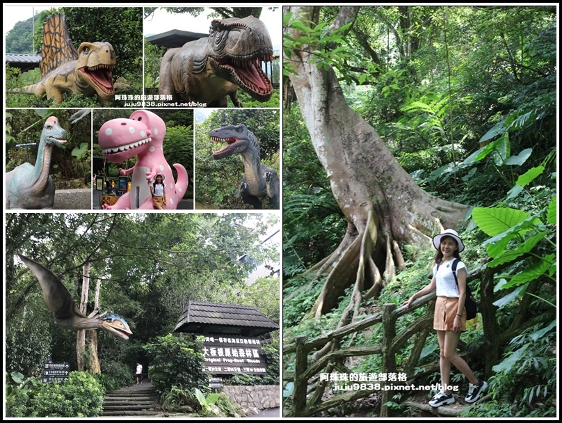 ,新北,三峽,大板根溫泉森林渡假村,恐龍,神木,