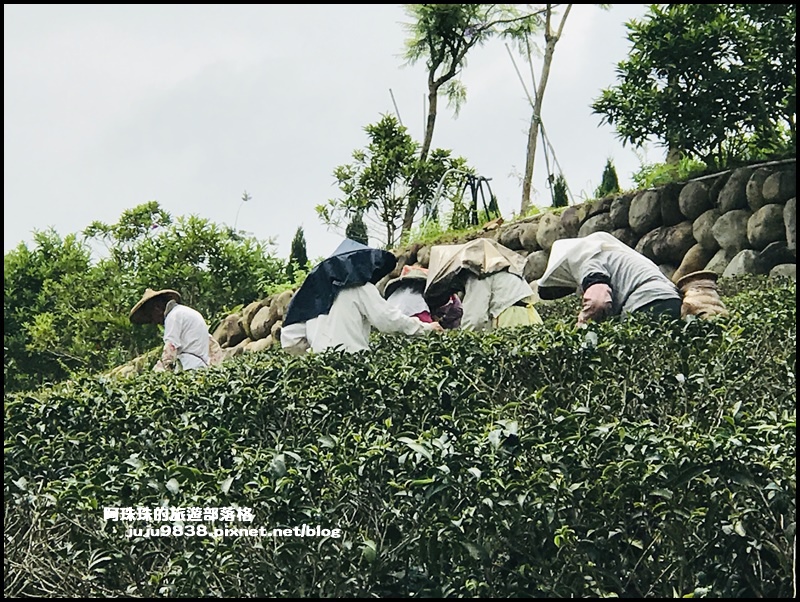 大北坑4.JPG 大北坑4.JPG