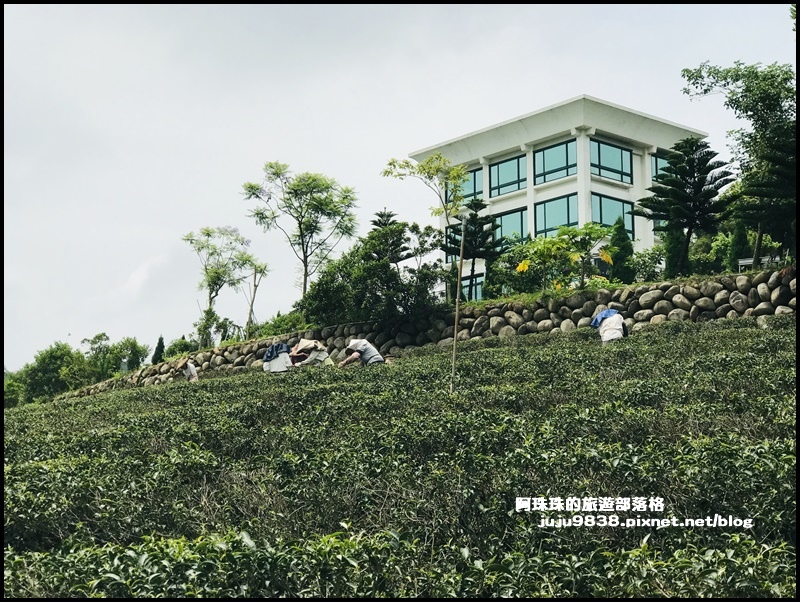 大北坑6.JPG 大北坑6.JPG