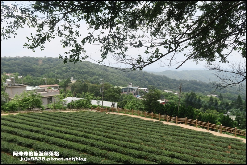 大北坑8.JPG 大北坑8.JPG