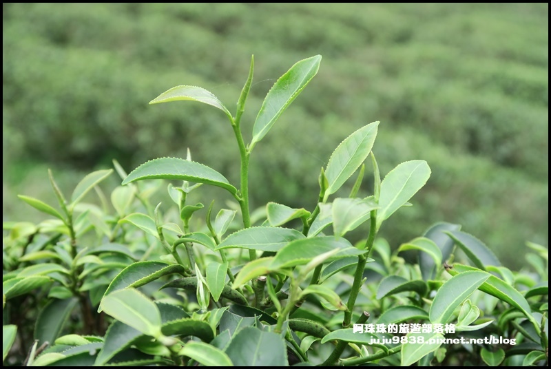 大北坑18.JPG 大北坑18.JPG