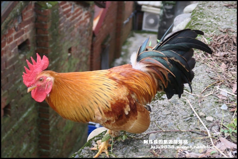 大北坑27.JPG 大北坑27.JPG