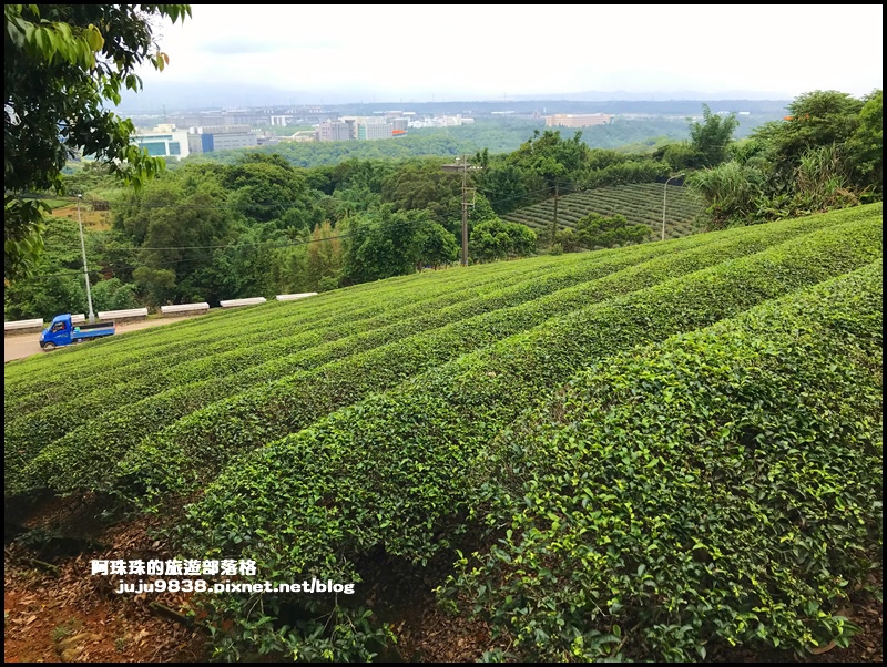 大北坑32.JPG 大北坑32.JPG