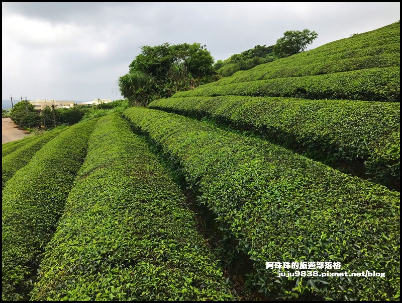 大北坑34.JPG 大北坑34.JPG