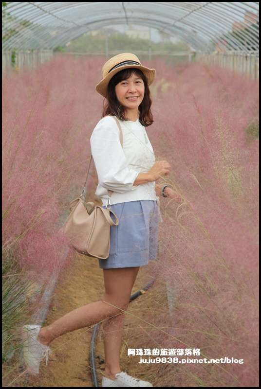 向陽農場9.JPG
