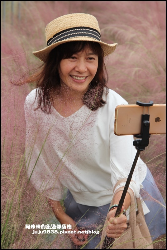 向陽農場22.JPG