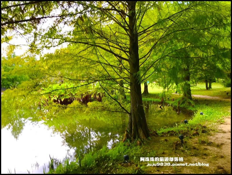 雲水度假村9.JPG