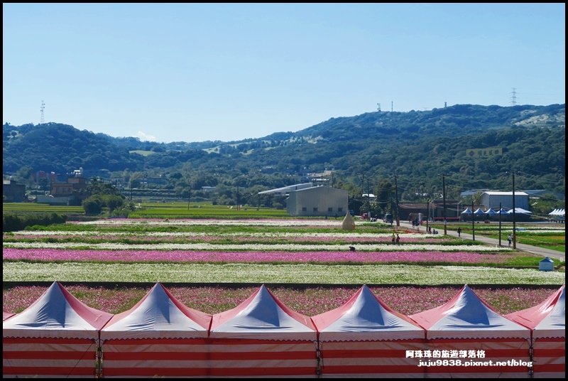 楊梅花彩節8.JPG