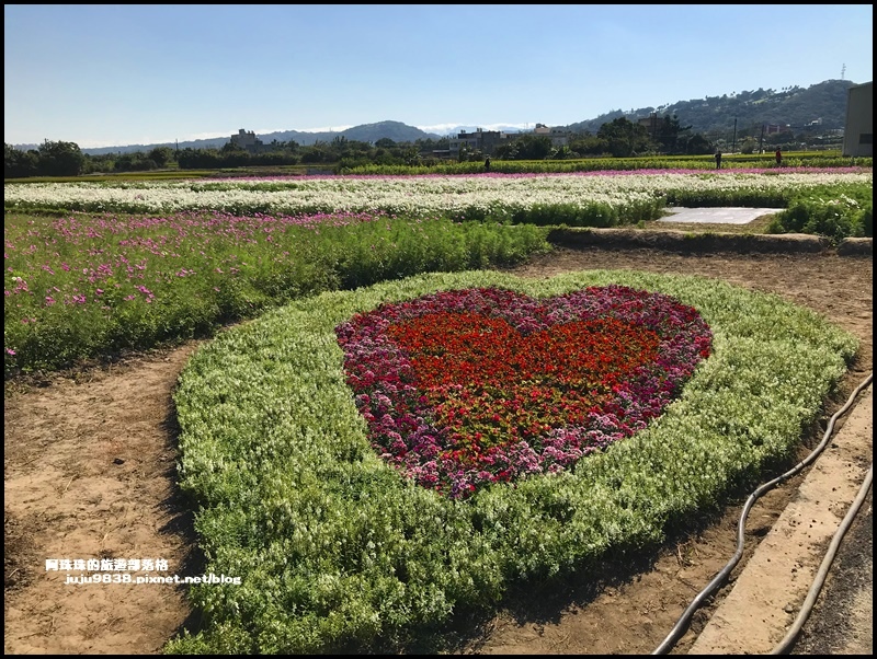楊梅花彩節32.JPG