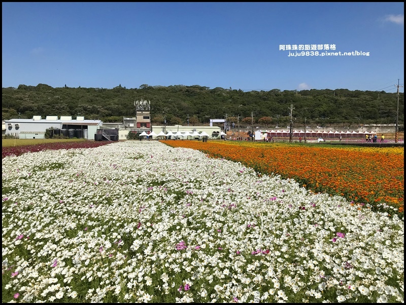 楊梅花彩節33.JPG